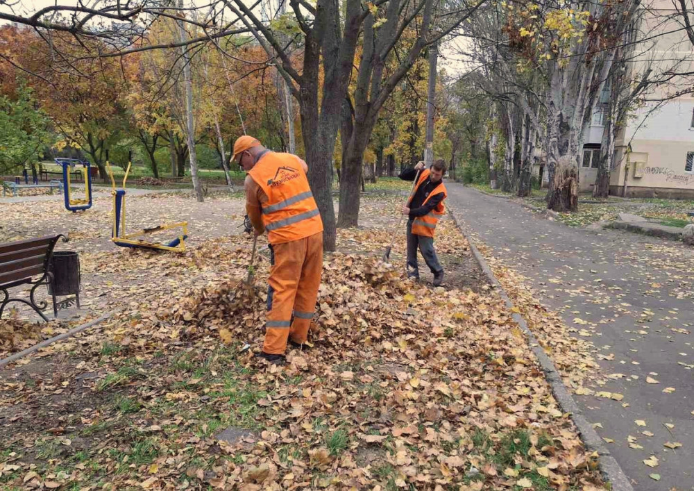 11917 image for slide