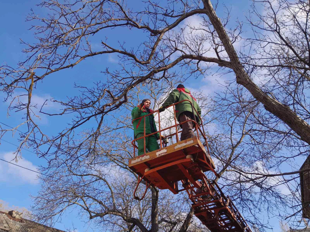 11919 image for slide