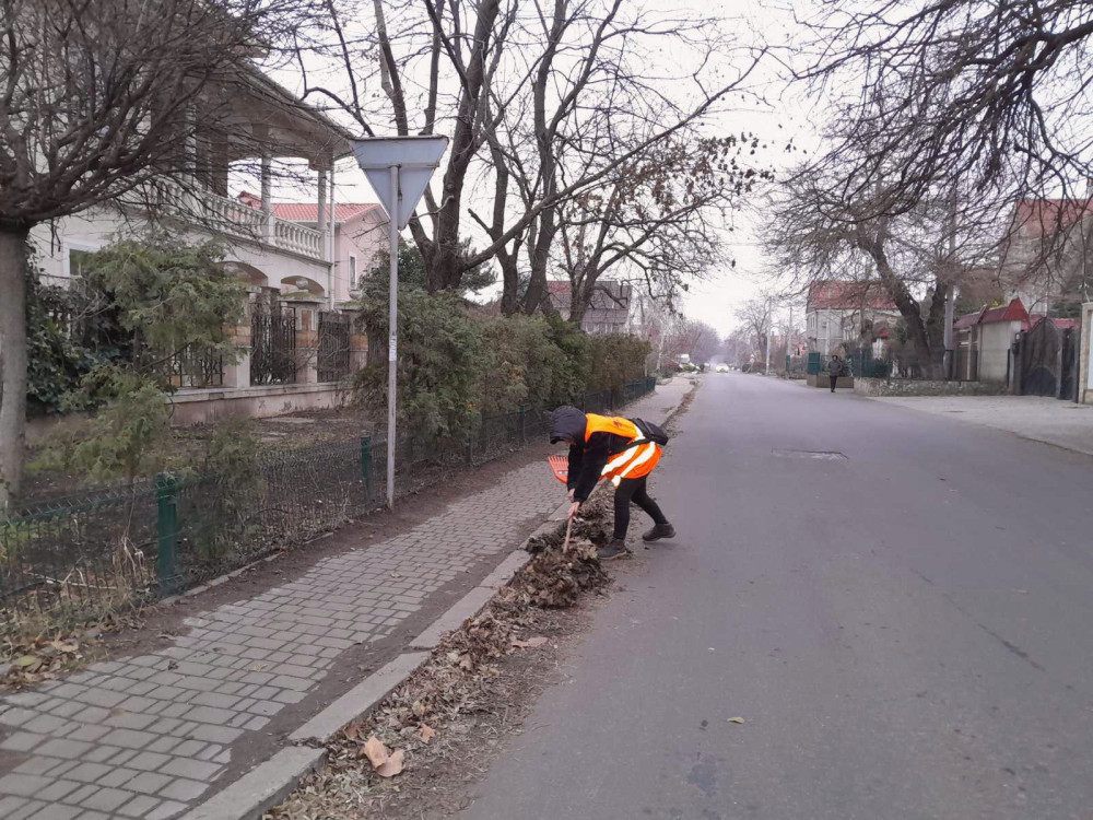 11920 image for slide