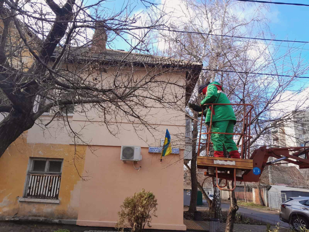 11921 image for slide