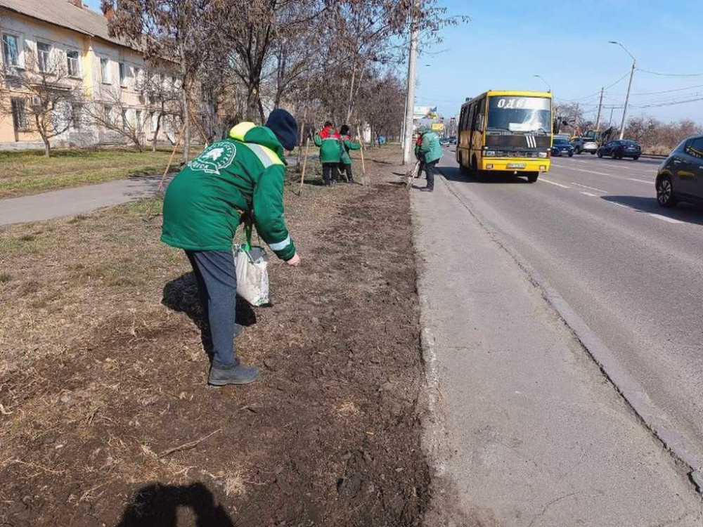 12274 image for slide