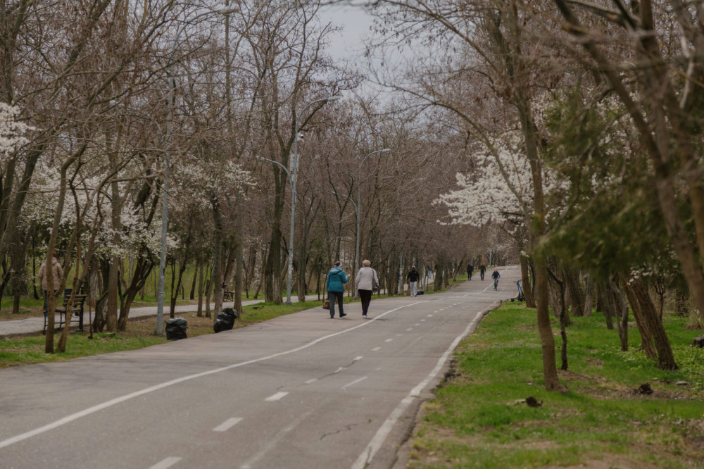 12588 image for slide