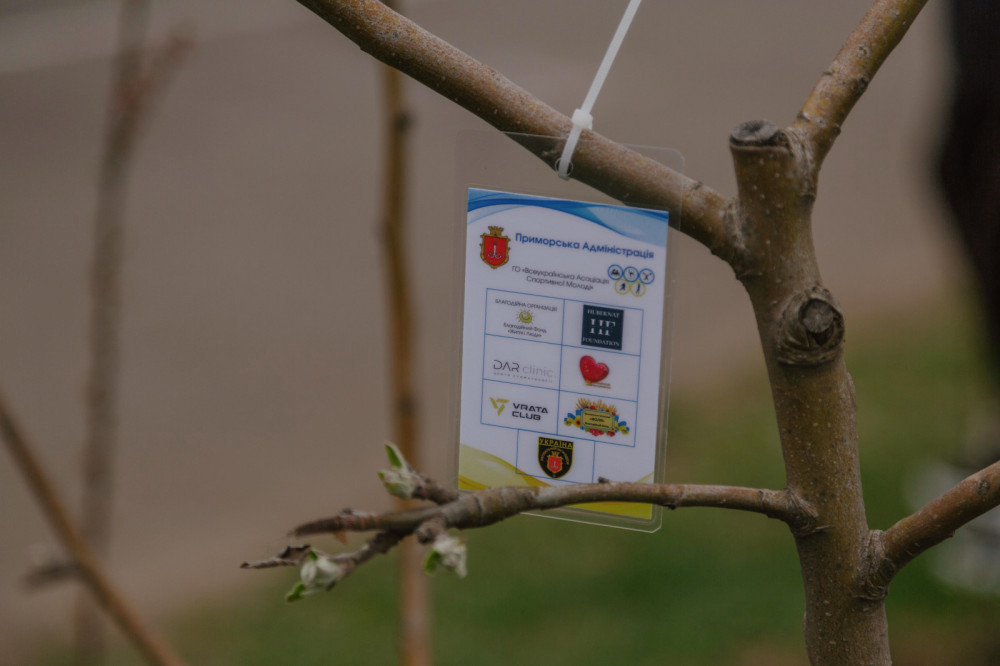 12589 image for slide