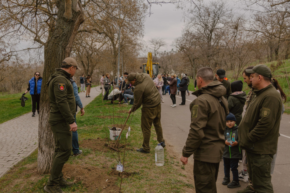 12590 image for slide