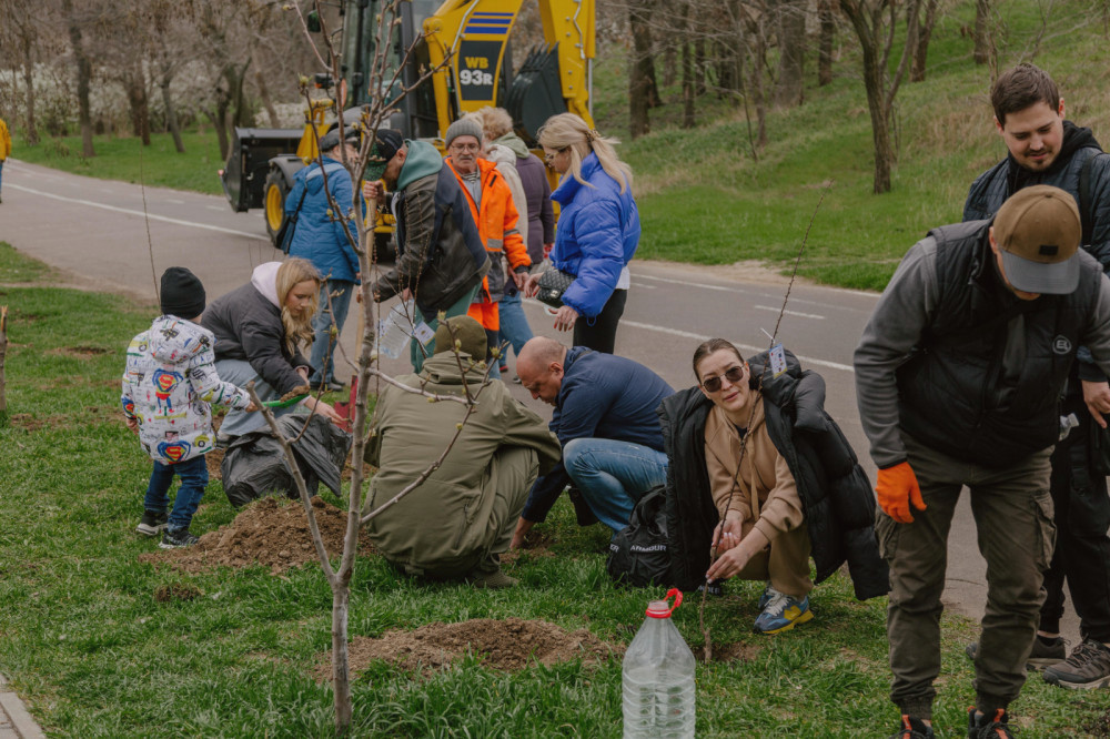 12591 image for slide