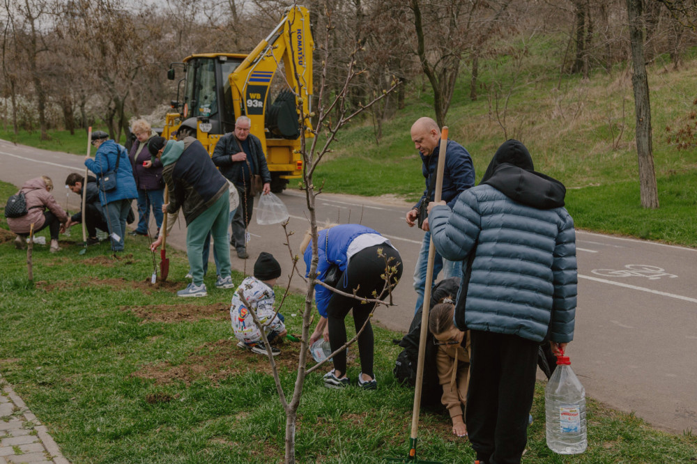 12592 image for slide