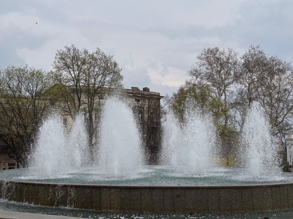 12599 image for slide