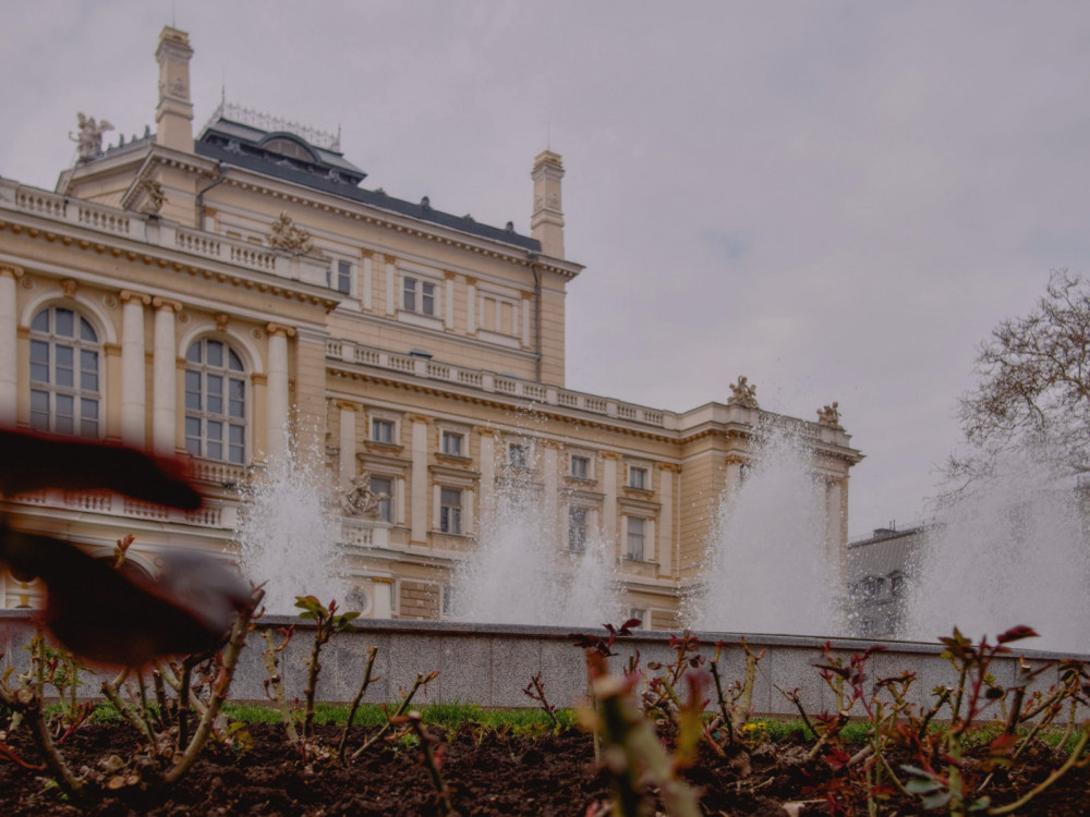 12601 image for slide