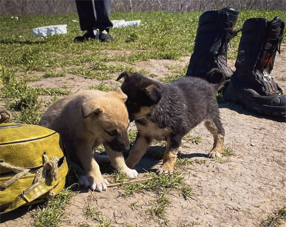 12762 image for slide