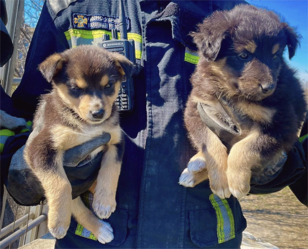 12763 image for slide