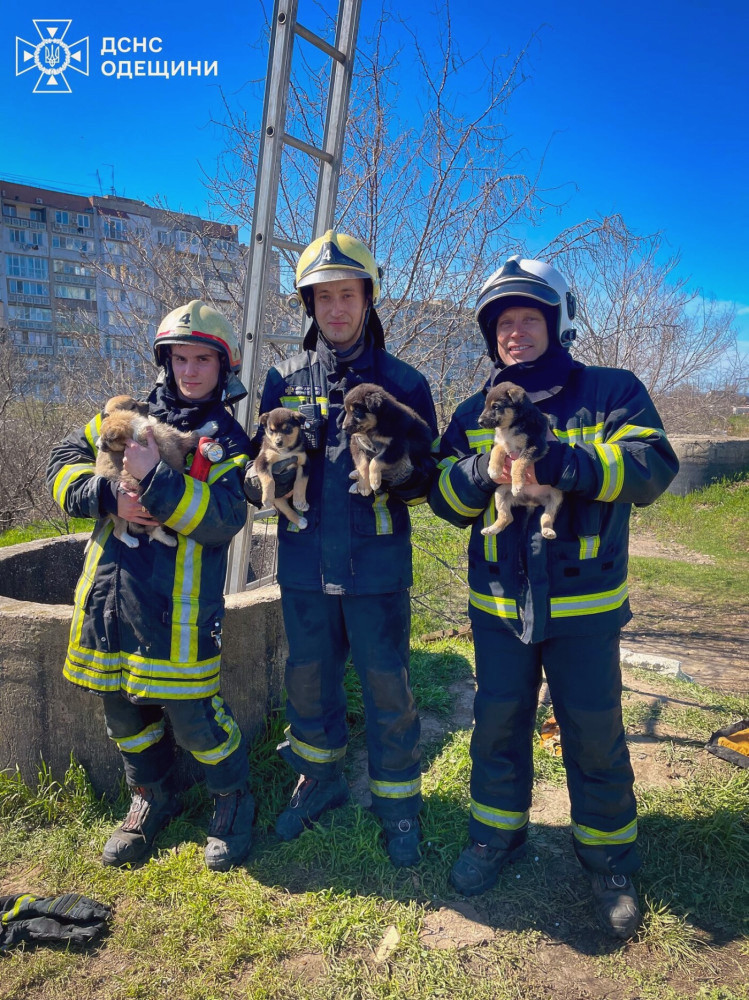 12764 image for slide