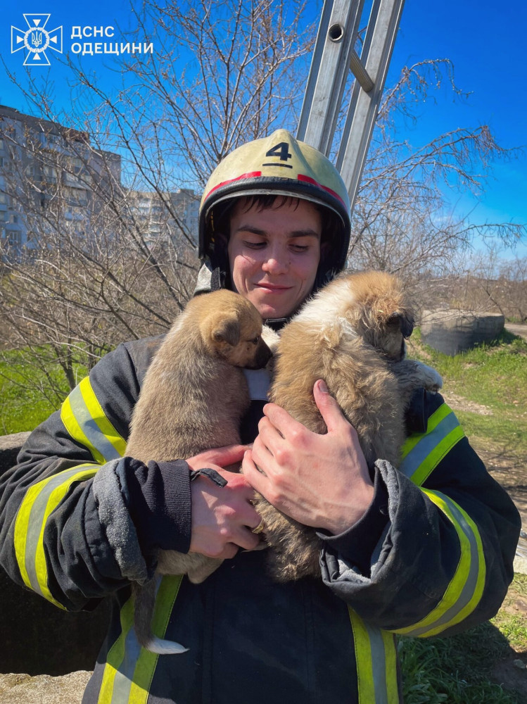 12765 image for slide