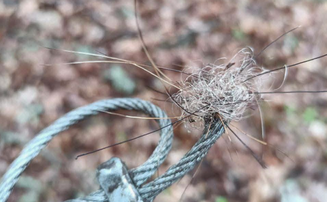 12941 image for slide