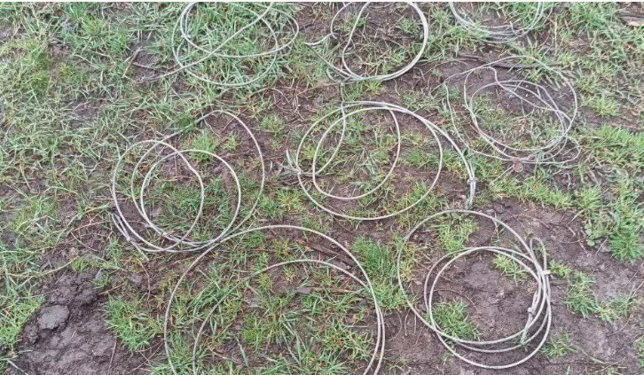 12942 image for slide