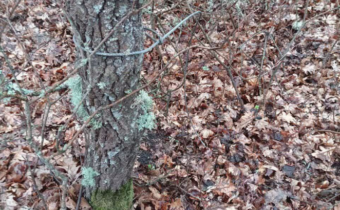 12943 image for slide