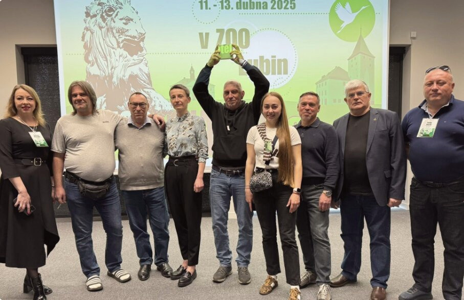 12976 image for slide