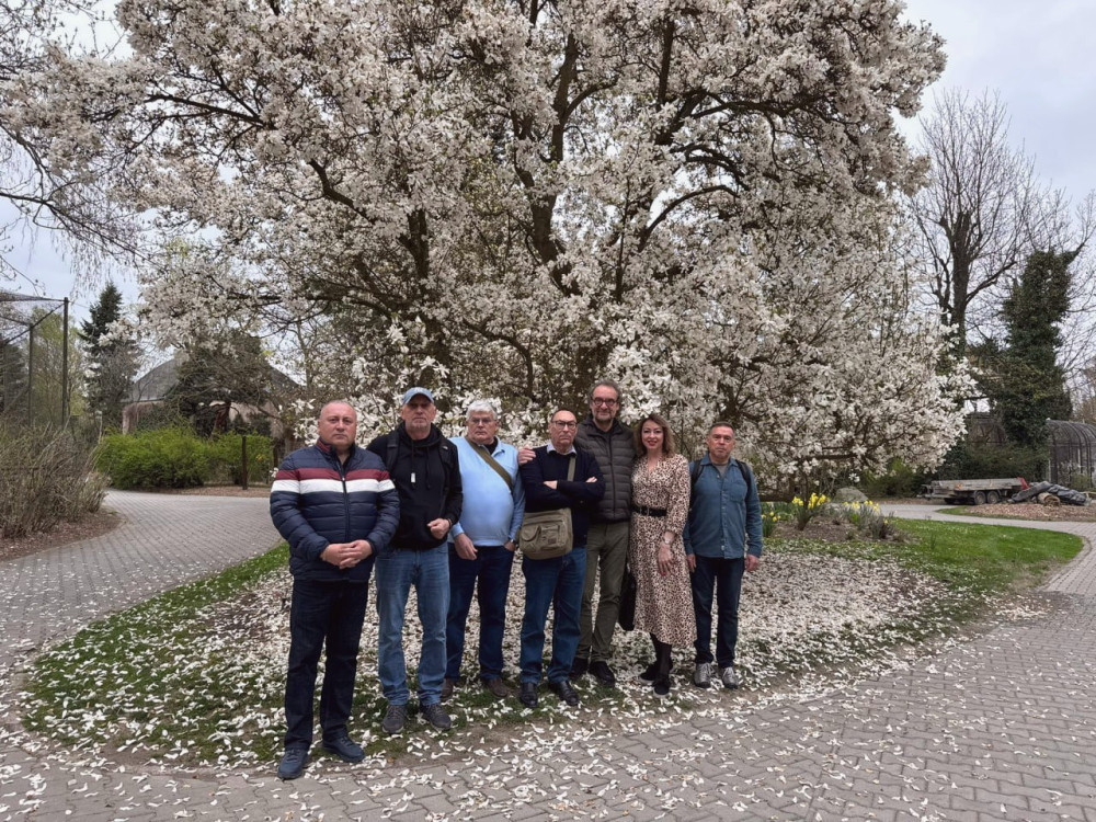 12979 image for slide