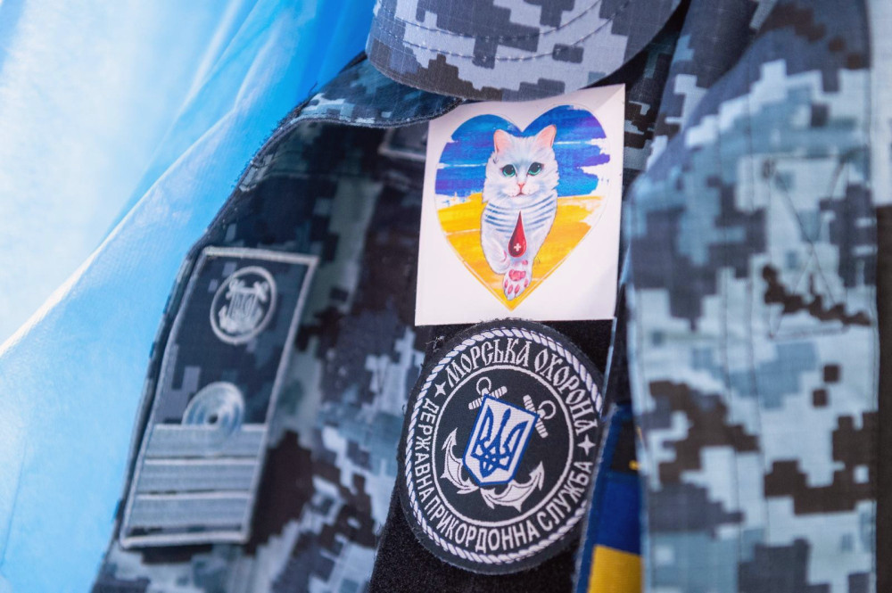 12981 image for slide