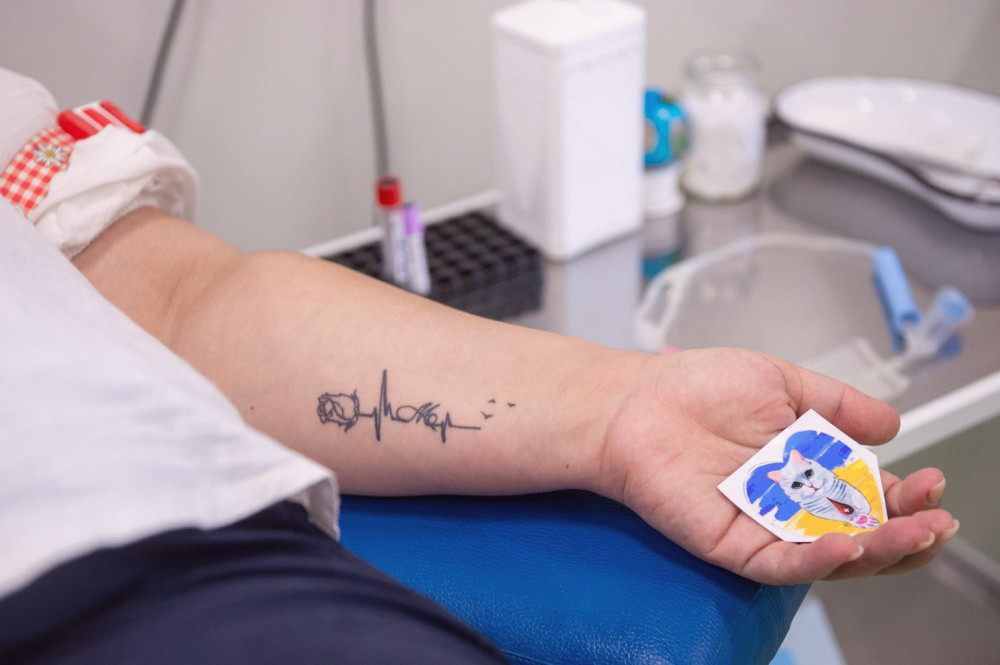 12984 image for slide