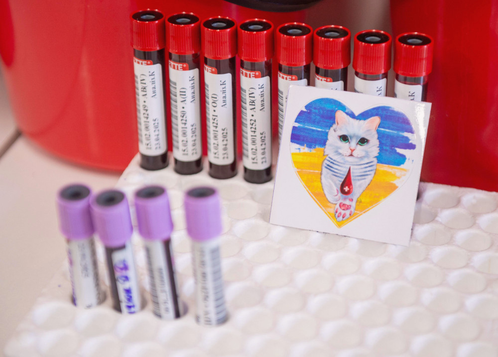 12986 image for slide