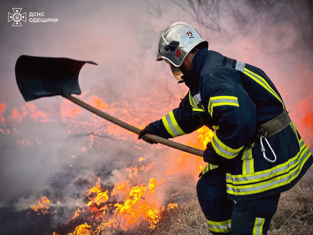 12987 image for slide