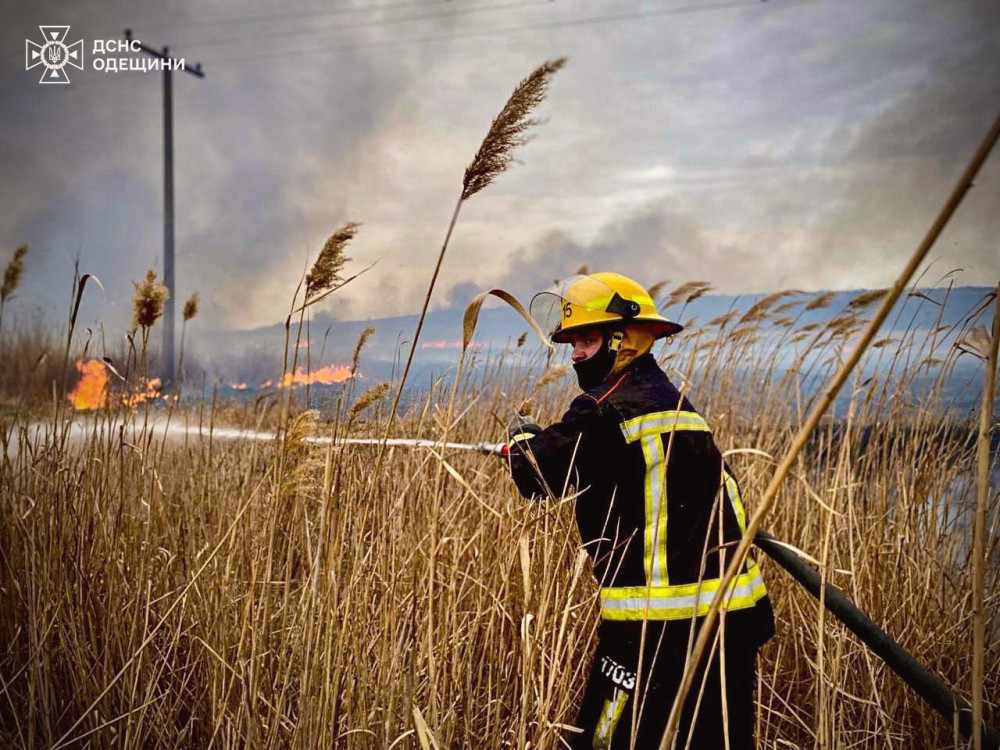 12988 image for slide