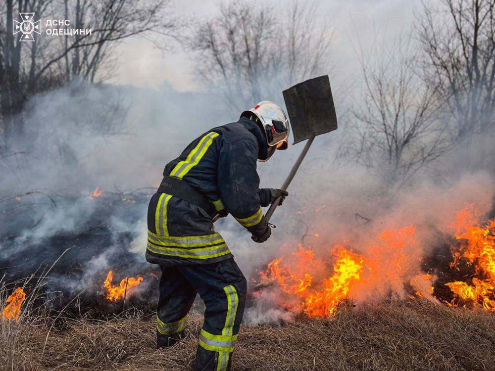 12989 image for slide