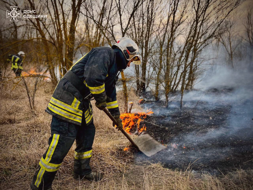 12990 image for slide