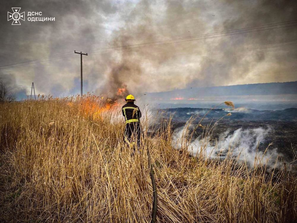 12991 image for slide