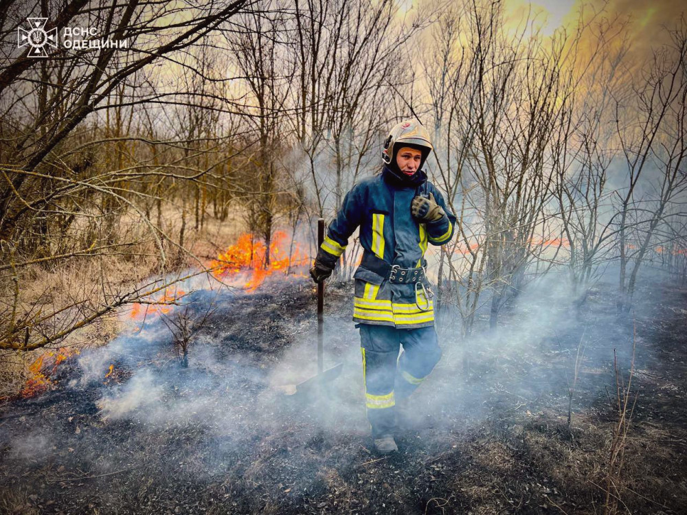 12992 image for slide