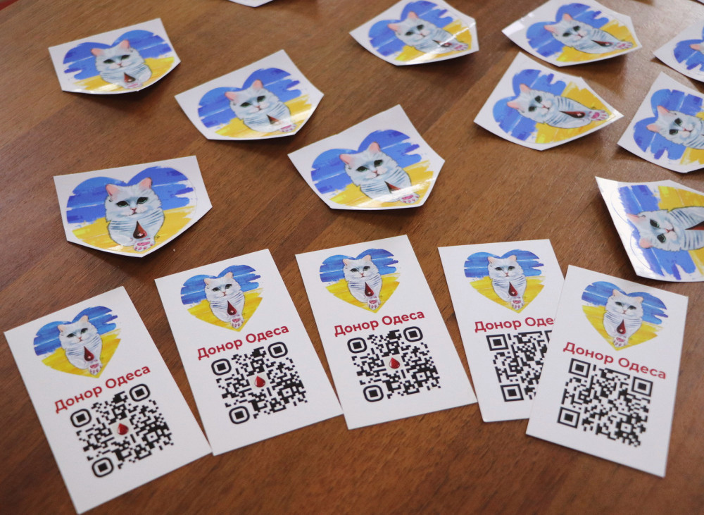 13005 image for slide