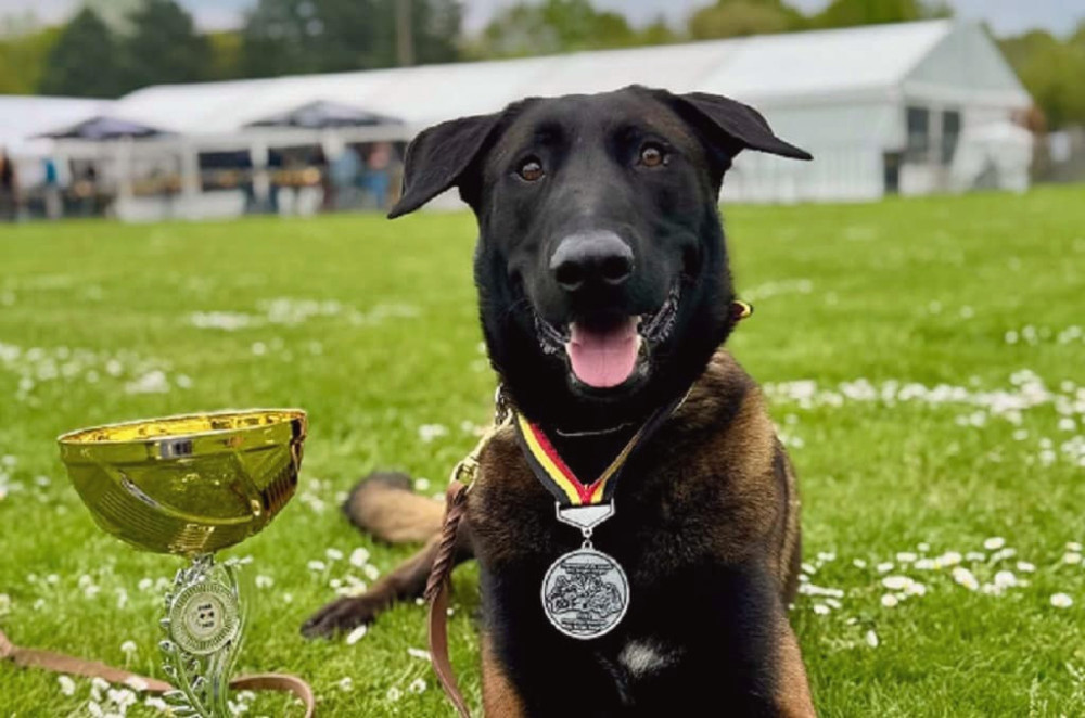 13022 image for slide