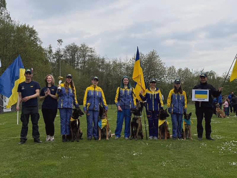 13023 image for slide