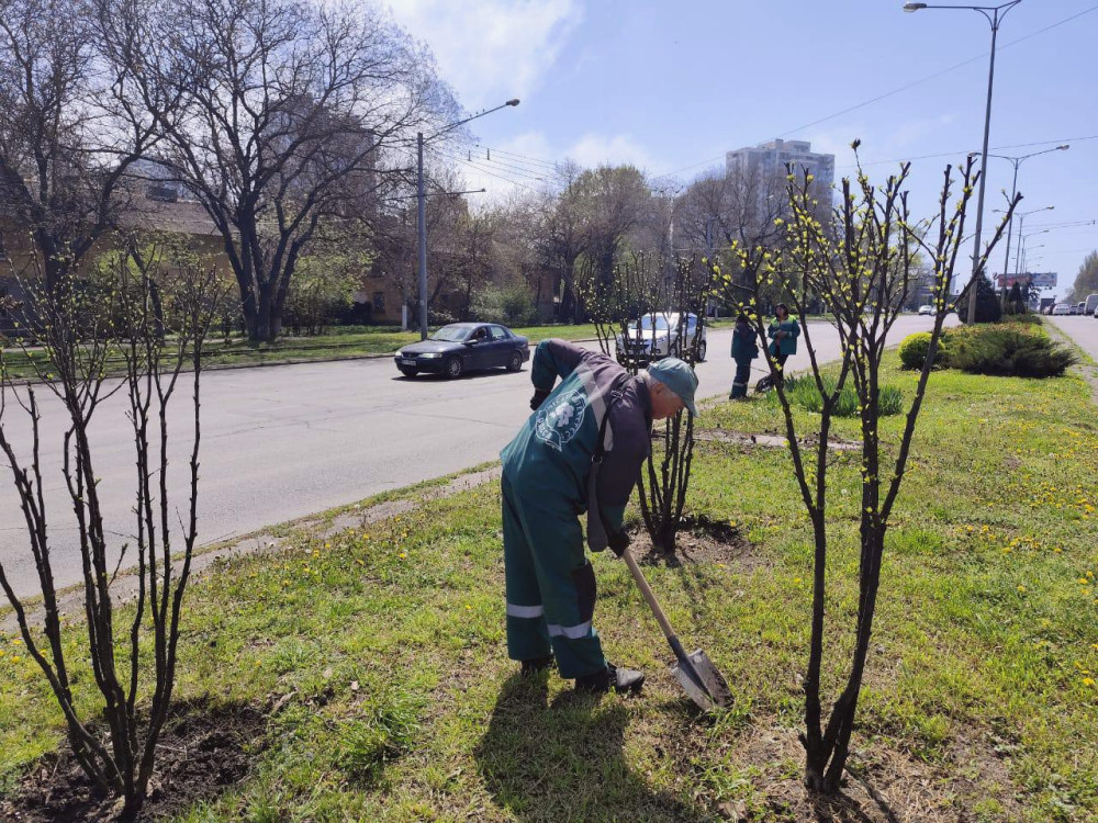 13024 image for slide