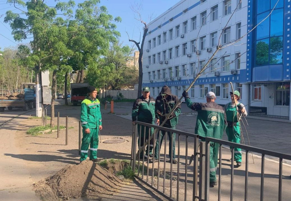 13025 image for slide