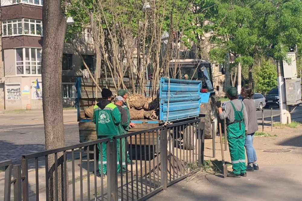 13026 image for slide