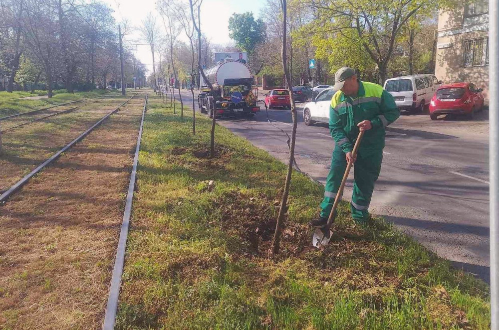 13027 image for slide