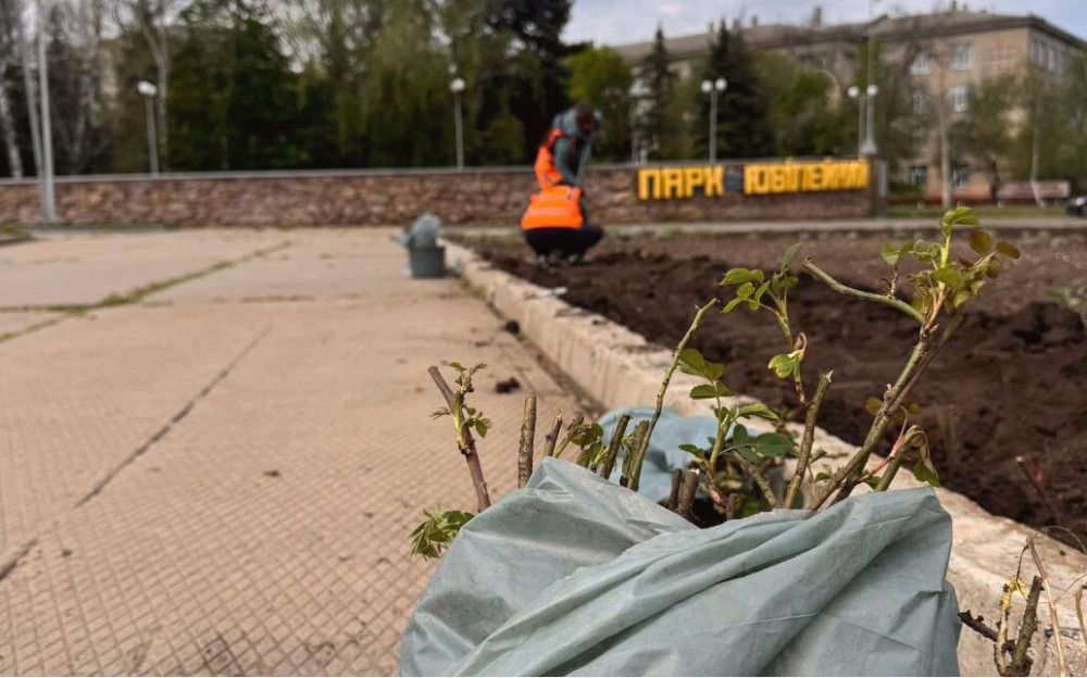 13158 image for slide