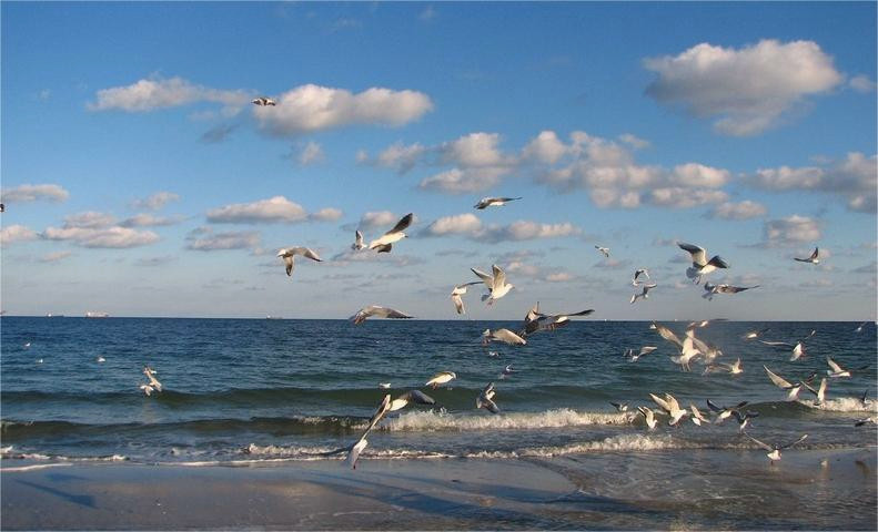 13190 image for slide