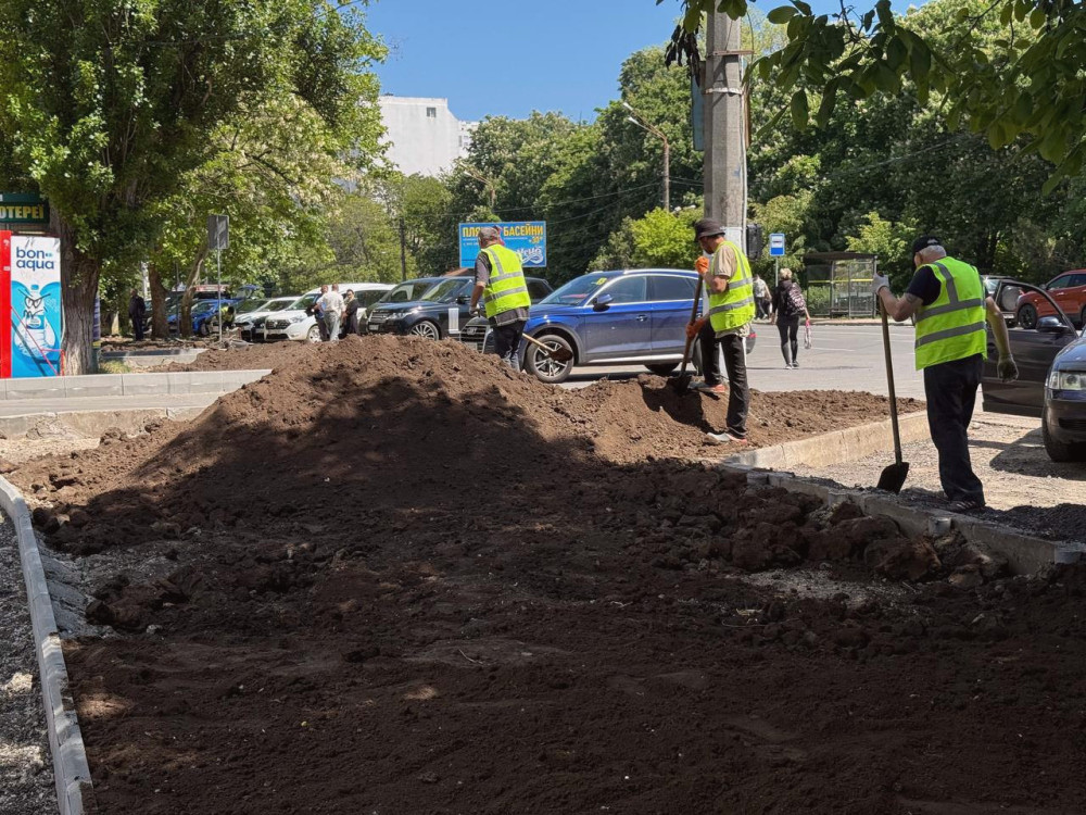 13422 image for slide