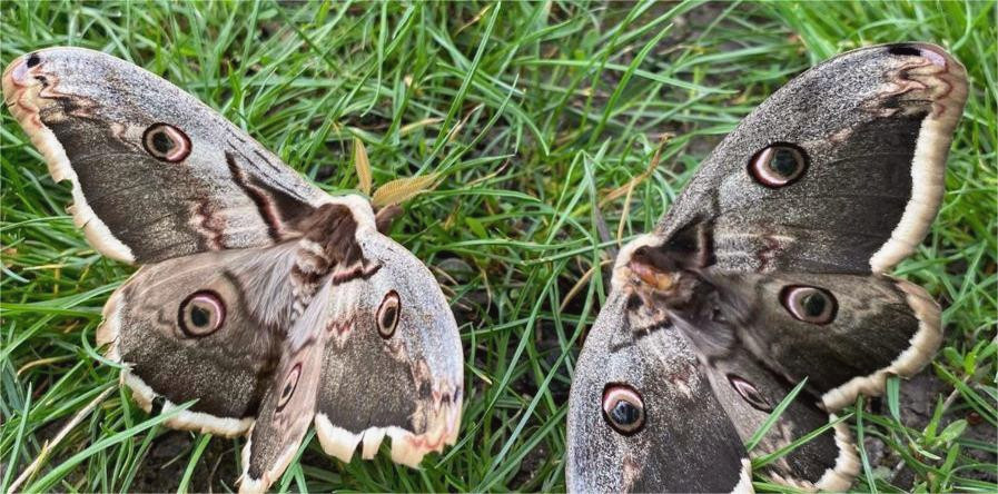 13604 image for slide