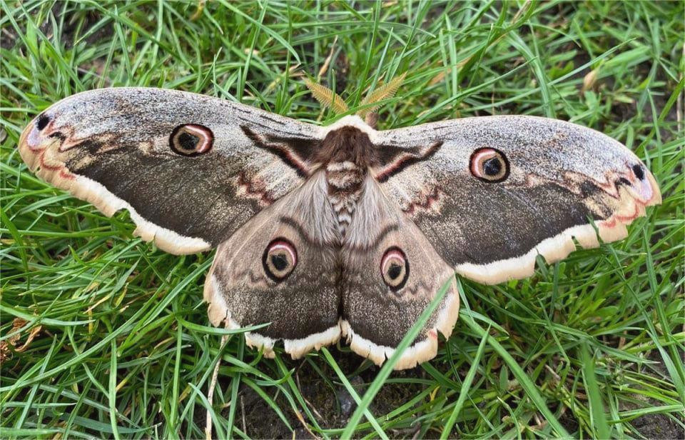 13605 image for slide