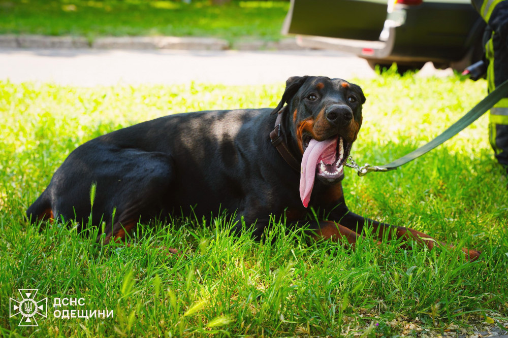 13738 image for slide