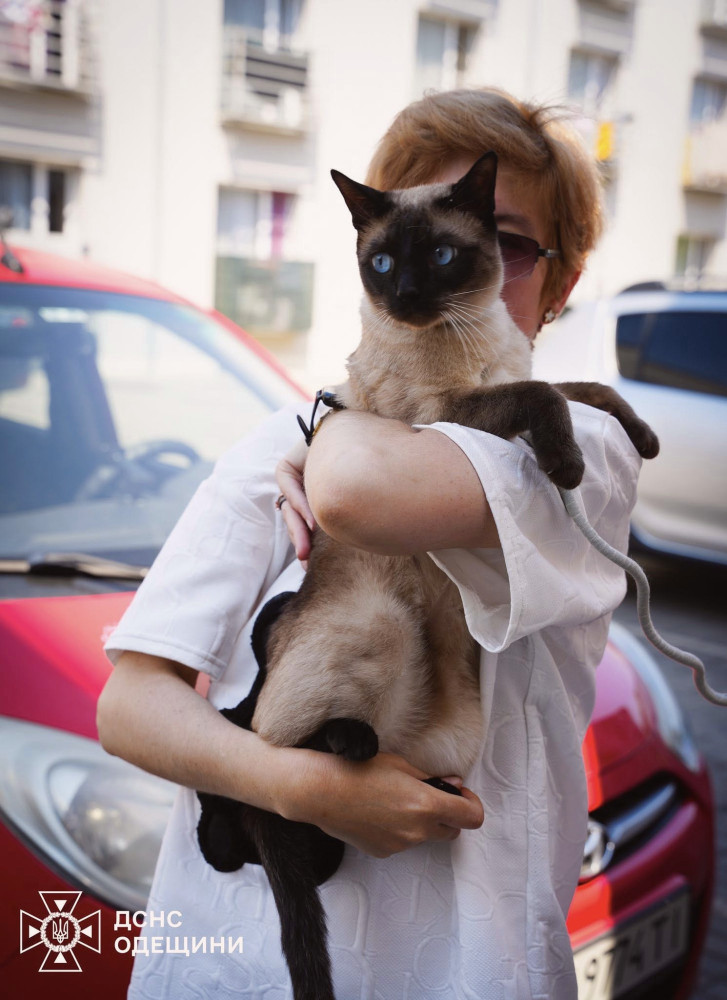 13740 image for slide