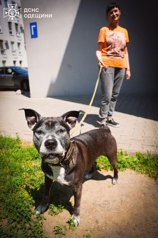 13741 image for slide