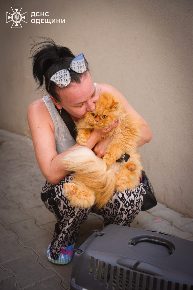 13742 image for slide