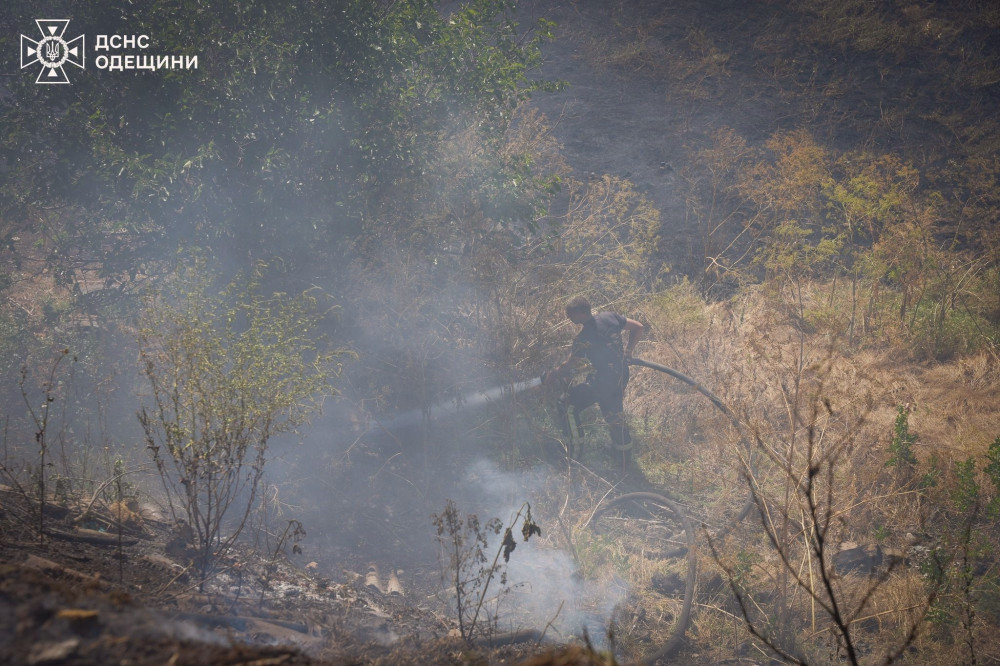 13913 image for slide