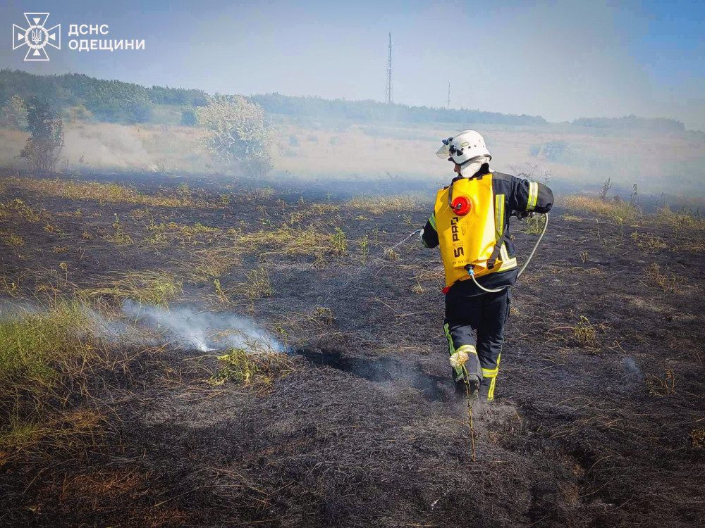 13914 image for slide