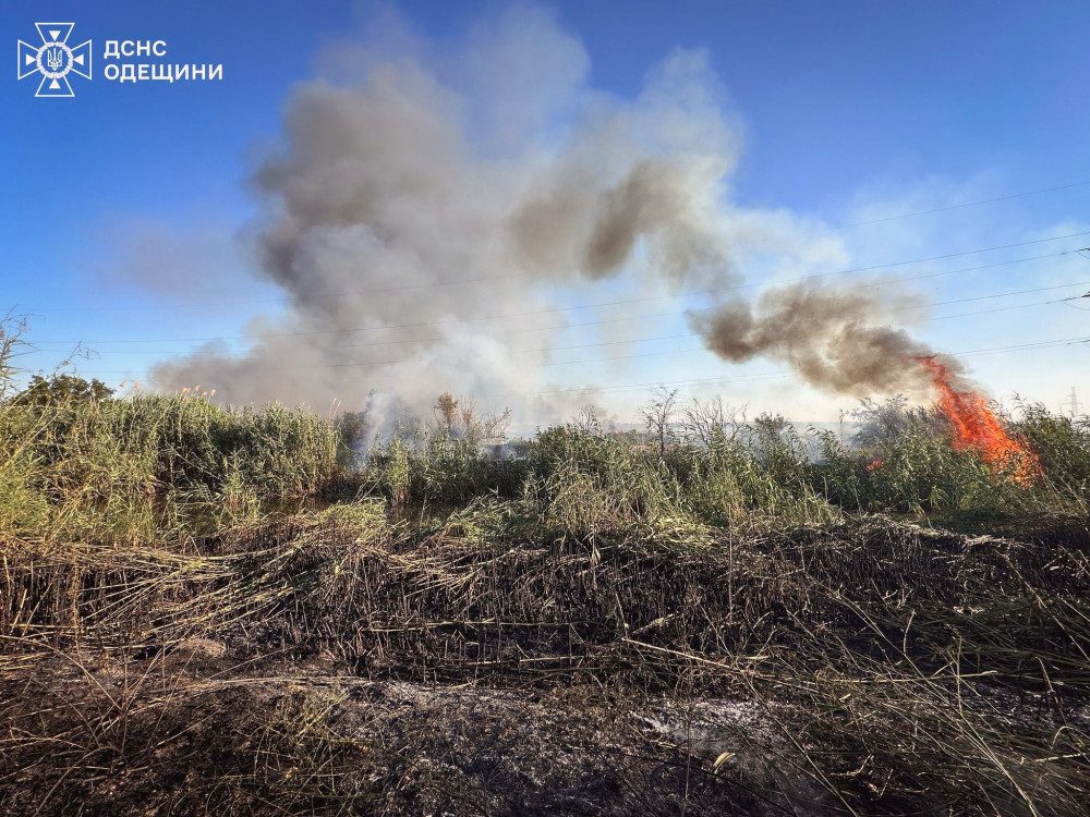 13915 image for slide