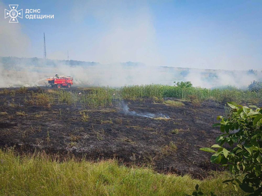 13916 image for slide